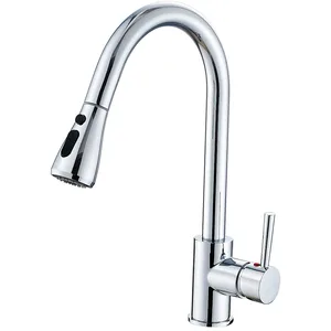 Chrome Pull-Down Kitchen Tap Sprayer