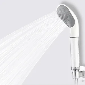 Handheld Shower Head with Built-in Filter