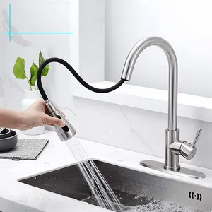 Brushed Pull-Down Kitchen Tap Sprayer with Black Hose