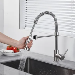 Brushed Pull-Down Spring Kitchen Faucet