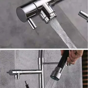 Dual Spout Kitchen Faucet with Spring Pull-Down Sprayer