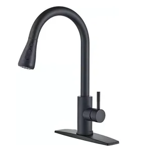 Matte Black Pull-Down Kitchen Faucet with Deck Plate