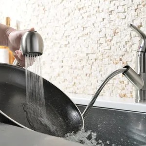 Brushed Compact Pull-Out Kitchen Faucet – photo 3