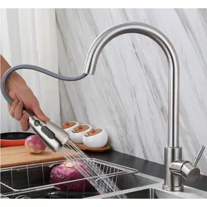 Brushed Pull-Down Kitchen Tap Sprayer with Grey Hose