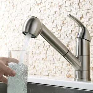 Brushed Compact Pull-Out Kitchen Faucet