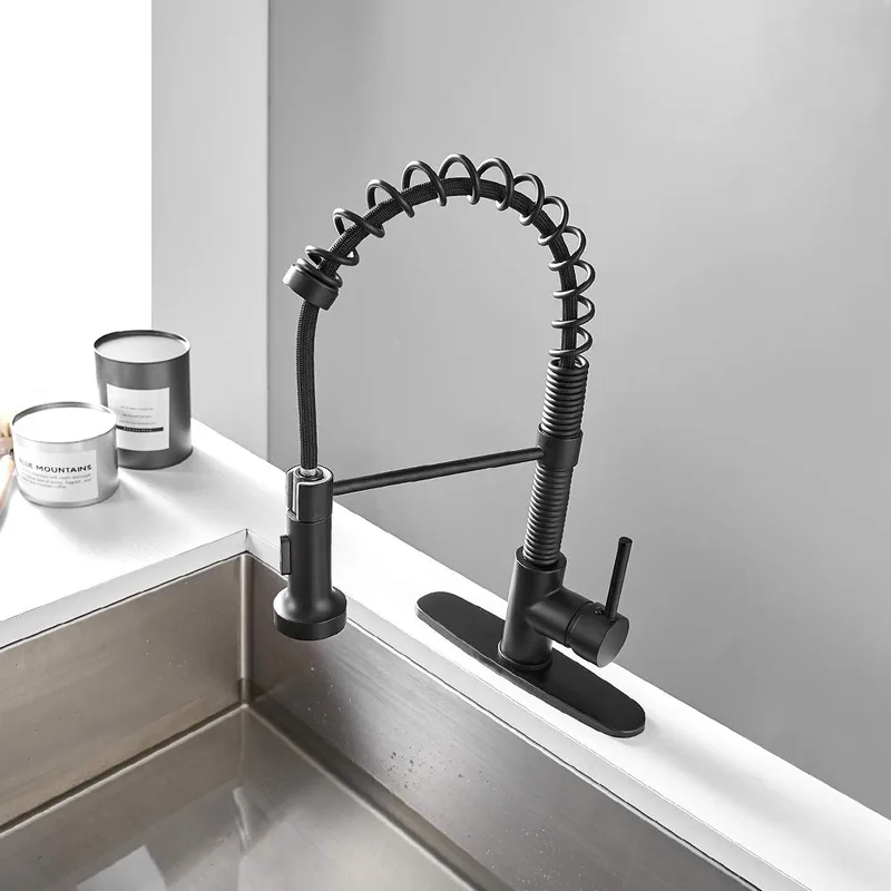 Matte Black Spring Pull-Down Kitchen Faucet