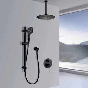 Matte Black Concealed Shower with Ceiling-Mounted Rain Head and Slide Rail