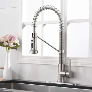 Brushed Spring Pull-Down Kitchen Faucet – Commercial Style